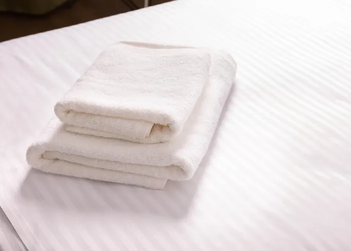 Max מלון דורס